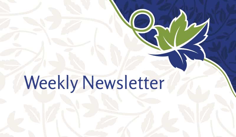 Weekly Resident & Family Letter – 3 Nov 21